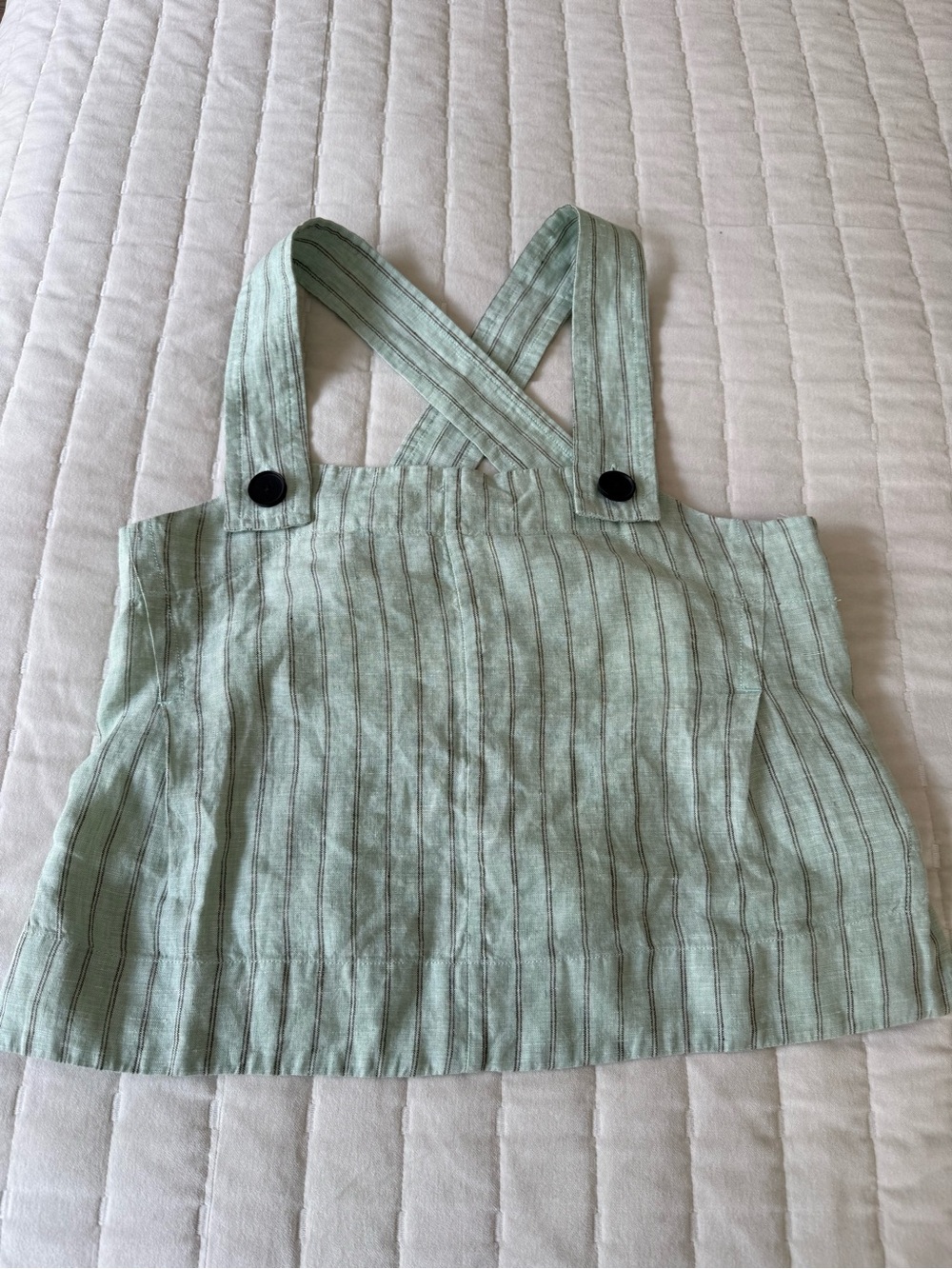 Everlane Mint Green Striped Cropped Tank with Button Straps